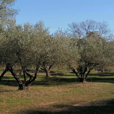 domaine de fondespierre