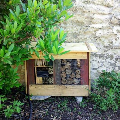 création de nichoir