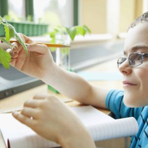 Aide à la famille et petite enfance