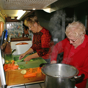 Assistante de Vie aux Familles